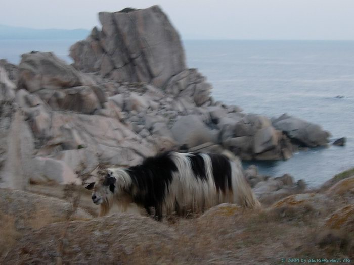 Clicca ora su questa immagine per caricare la foto successiva!